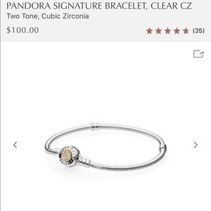 Pandora charm bracelet